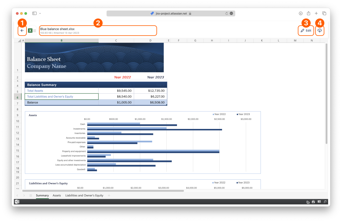 Full-screen file preview in ikuTeam Office for Jira